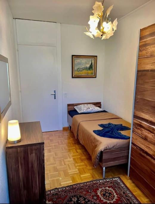Appartement 7,0 Pieces 3 Chambres Proximite Aeroport Genève Buitenkant foto